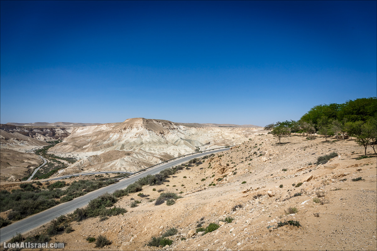 Мидрешет Бен-Гурион, Могила | LookAtIsrael.com - Фото путешествия по Израилю