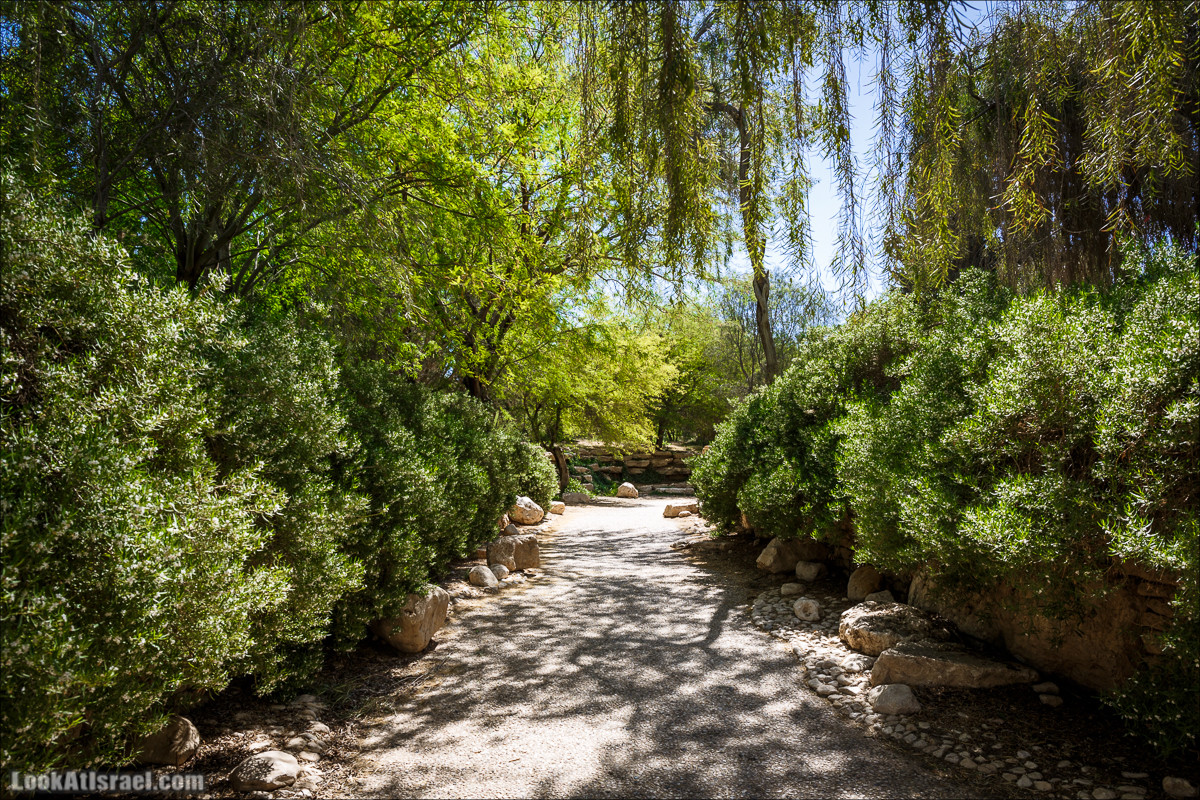 Мидрешет Бен-Гурион, Могила | LookAtIsrael.com - Фото путешествия по Израилю