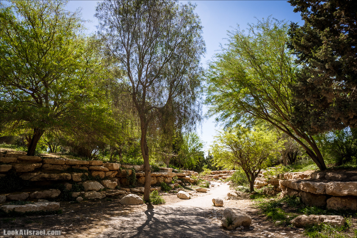 Мидрешет Бен-Гурион, Могила | LookAtIsrael.com - Фото путешествия по Израилю