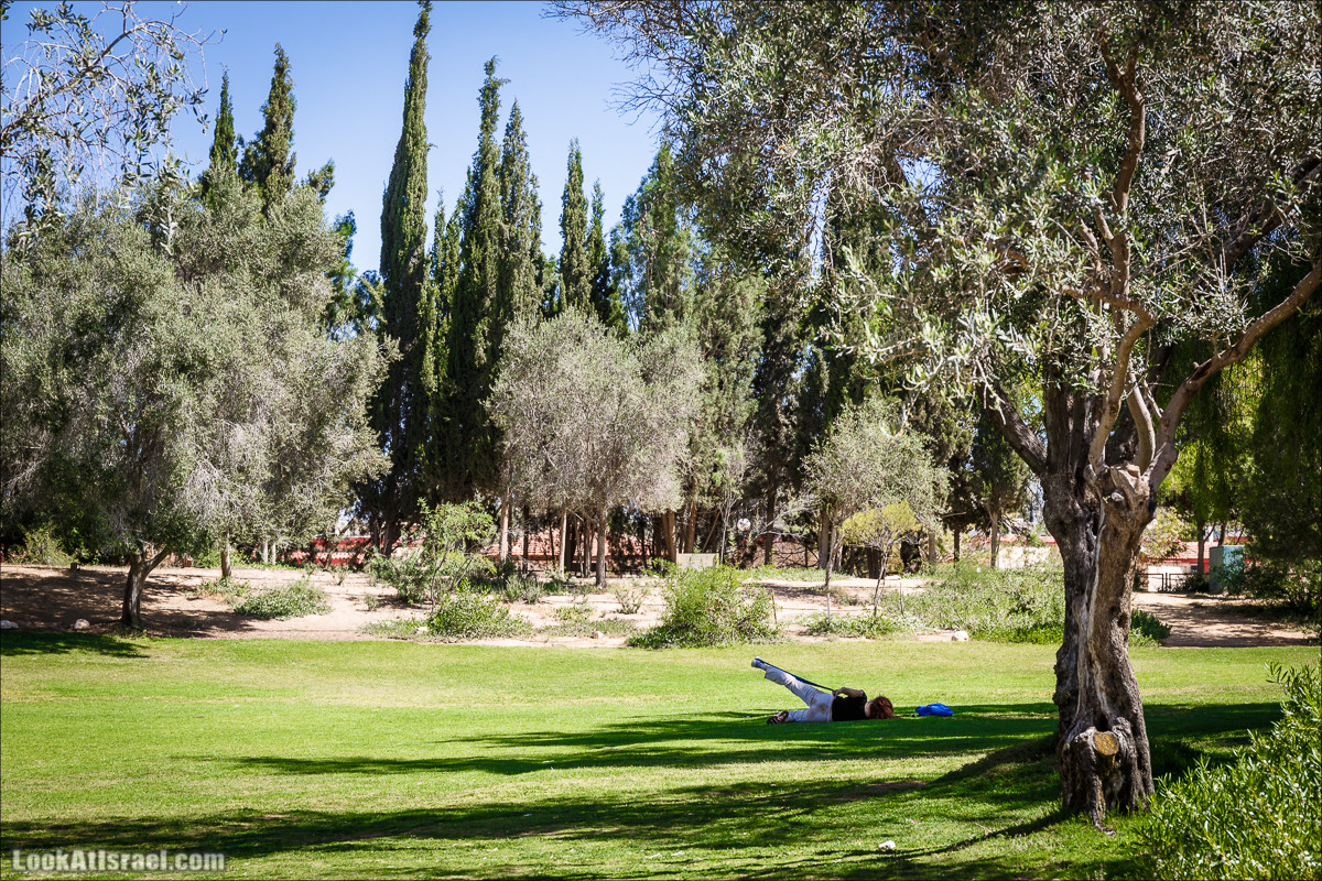 Мидрешет Бен-Гурион, Могила | LookAtIsrael.com - Фото путешествия по Израилю
