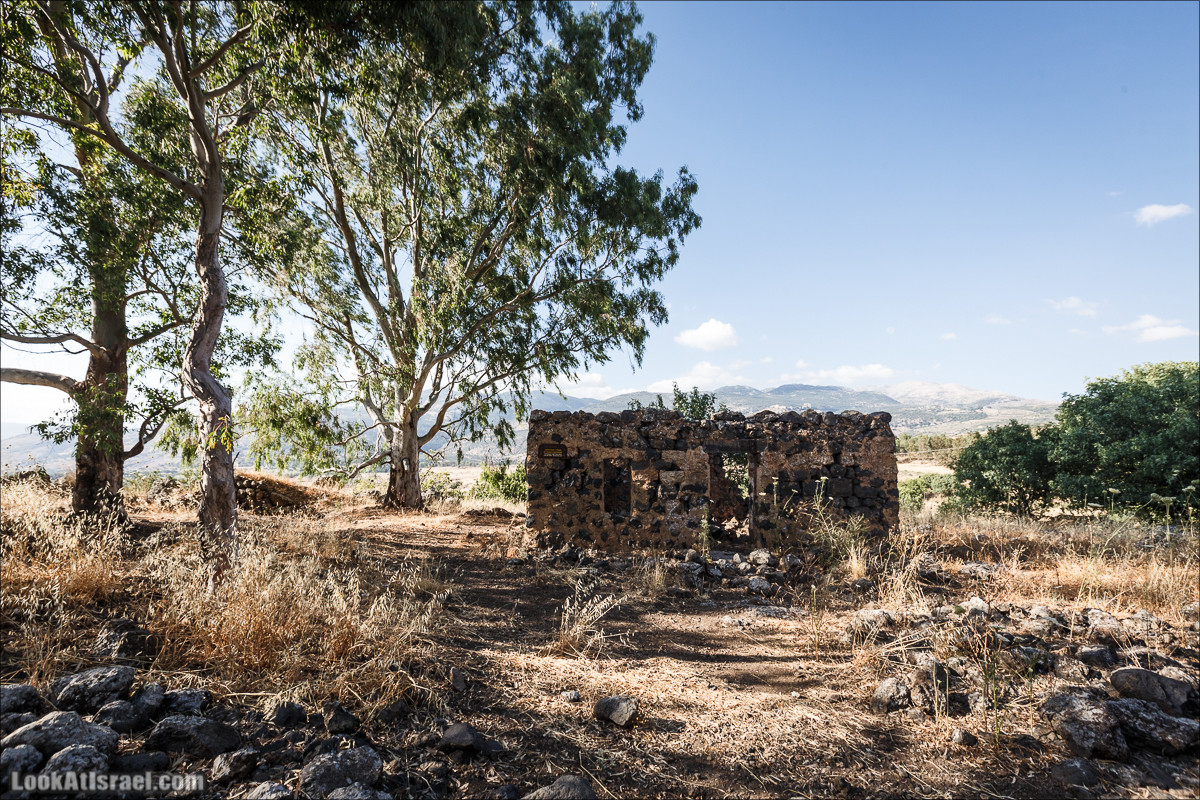 Интересные места Голанских высот: Мемориал Голани, гора Бенталь, Эйн Зиван, Жоба, Оз 77 и точка палеомагнетизма | LookAtIsrael.com - Фото путешествия по Израилю