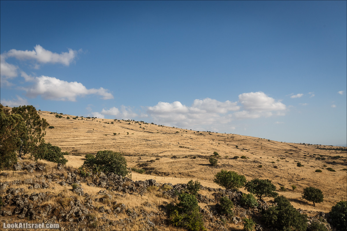 Интересные места Голанских высот: Мемориал Голани, гора Бенталь, Эйн Зиван, Жоба, Оз 77 и точка палеомагнетизма | LookAtIsrael.com - Фото путешествия по Израилю