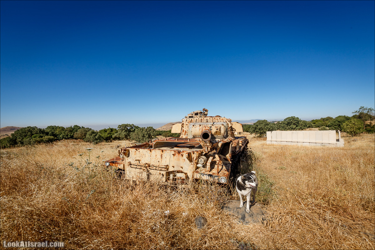 Интересные места Голанских высот: Мемориал Голани, гора Бенталь, Эйн Зиван, Жоба, Оз 77 и точка палеомагнетизма | LookAtIsrael.com - Фото путешествия по Израилю