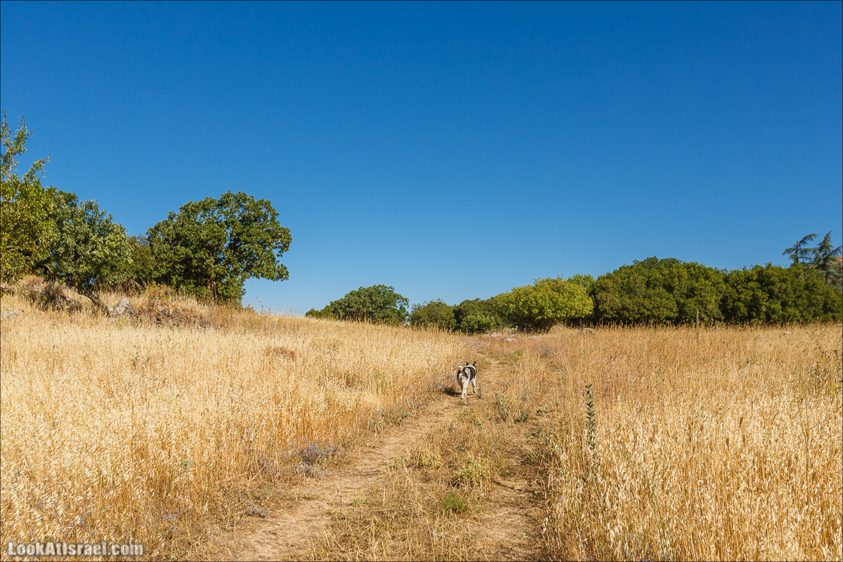 Интересные места Голанских высот: Мемориал Голани, гора Бенталь, Эйн Зиван, Жоба, Оз 77 и точка палеомагнетизма | LookAtIsrael.com - Фото путешествия по Израилю