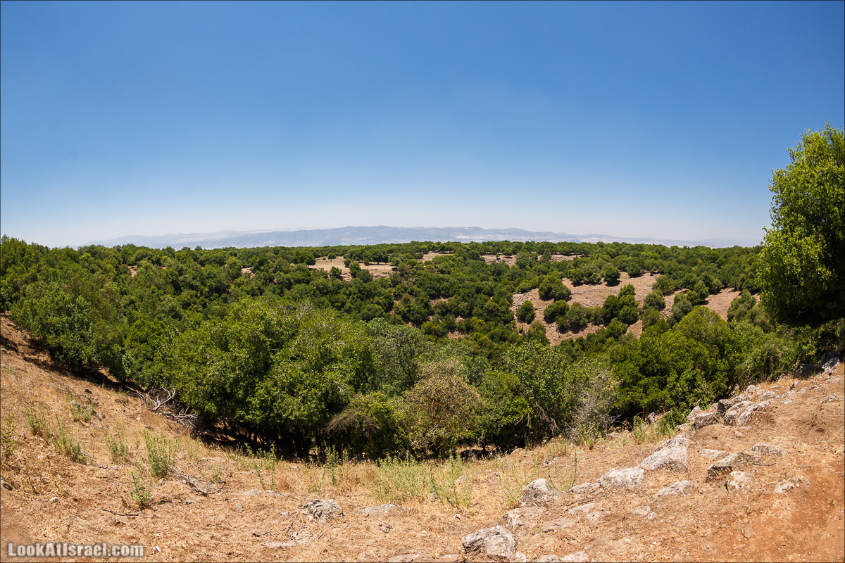 Интересные места Голанских высот: Мемориал Голани, гора Бенталь, Эйн Зиван, Жоба, Оз 77 и точка палеомагнетизма | LookAtIsrael.com - Фото путешествия по Израилю