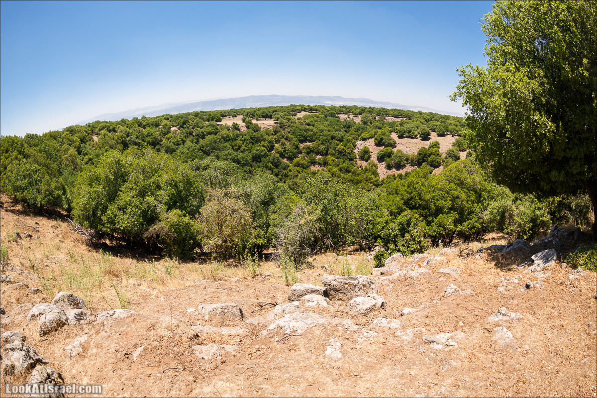 Интересные места Голанских высот: Мемориал Голани, гора Бенталь, Эйн Зиван, Жоба, Оз 77 и точка палеомагнетизма | LookAtIsrael.com - Фото путешествия по Израилю