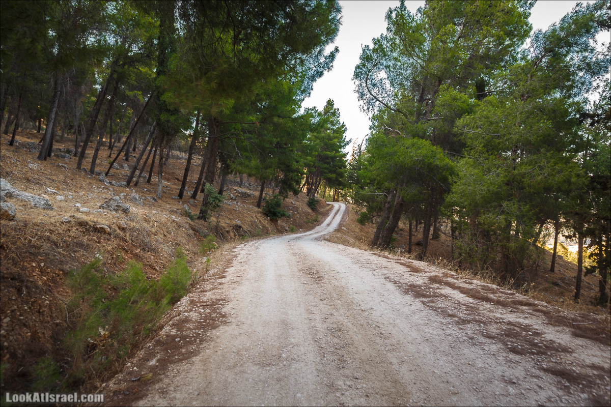 Пейзажная дорога на горах Нафтали | Naftali mts scenic road | LookAtIsrael.com - Фото путешествия по Израилю
