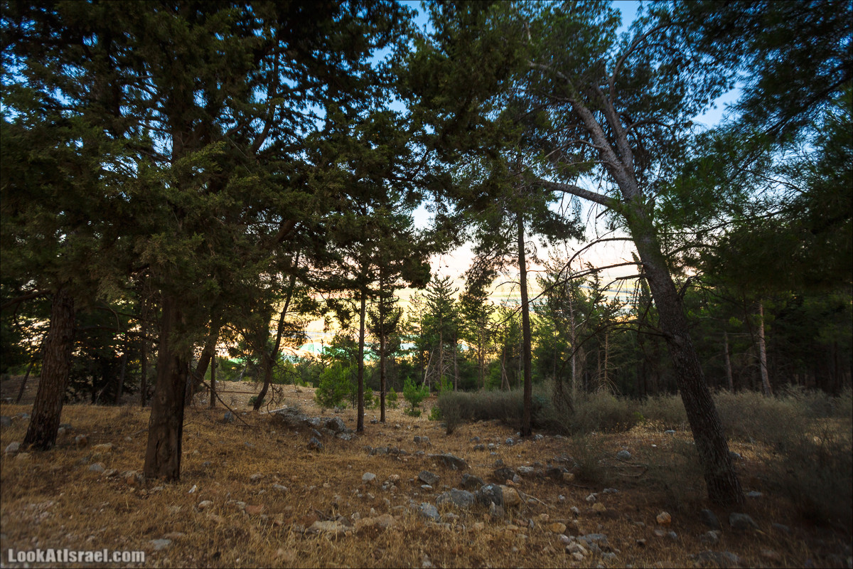 Пейзажная дорога на горах Нафтали | Naftali mts scenic road | LookAtIsrael.com - Фото путешествия по Израилю