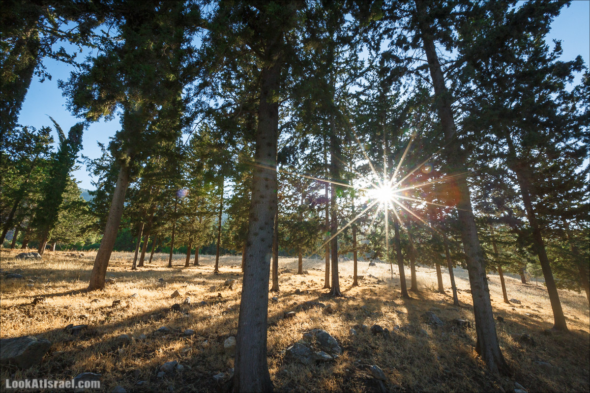 Пейзажная дорога на горах Нафтали | Naftali mts scenic road | LookAtIsrael.com - Фото путешествия по Израилю
