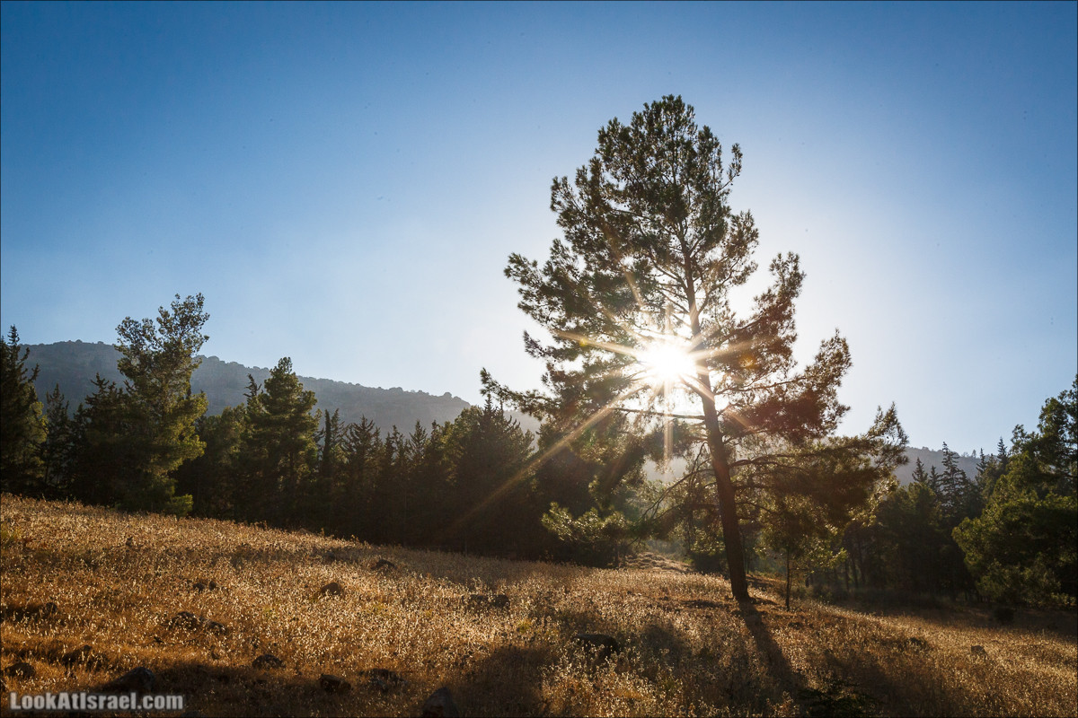 Пейзажная дорога на горах Нафтали | Naftali mts scenic road | LookAtIsrael.com - Фото путешествия по Израилю