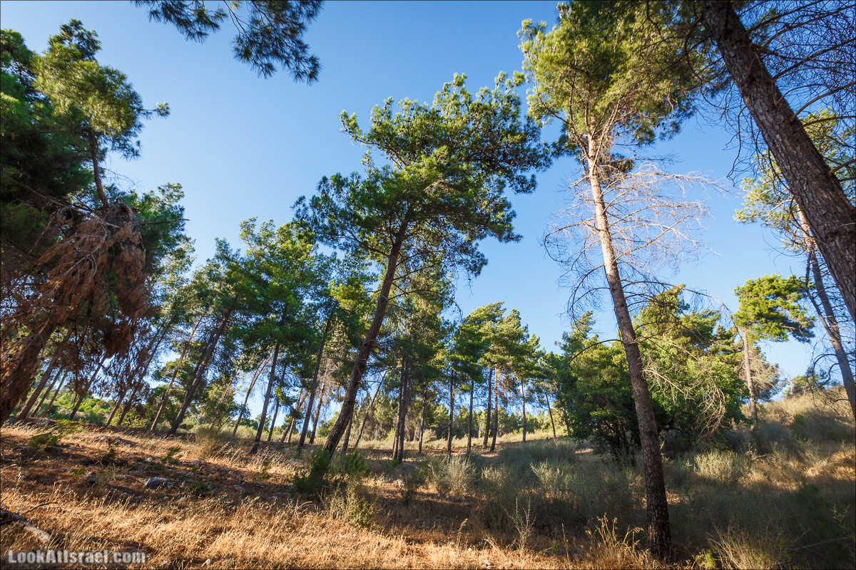 Пейзажная дорога на горах Нафтали | Naftali mts scenic road | LookAtIsrael.com - Фото путешествия по Израилю