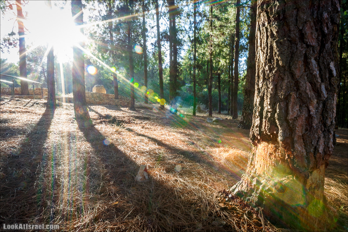 Пейзажная дорога на горах Нафтали | Naftali mts scenic road | LookAtIsrael.com - Фото путешествия по Израилю