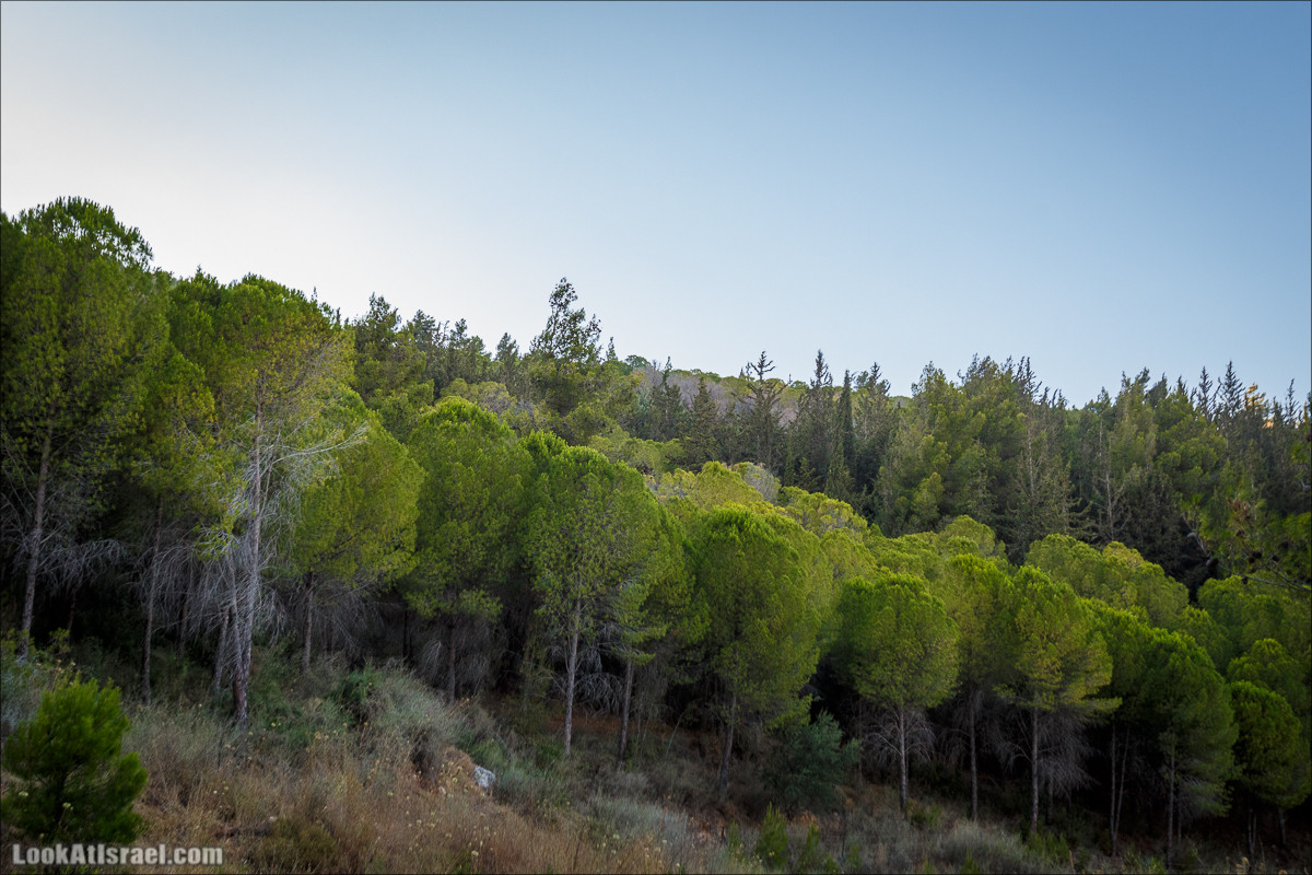Пейзажная дорога на горах Нафтали | Naftali mts scenic road | LookAtIsrael.com - Фото путешествия по Израилю