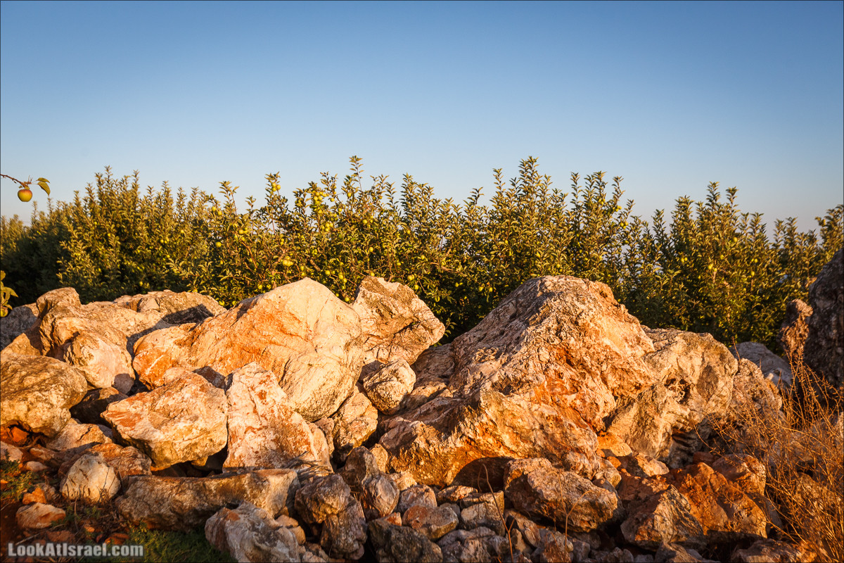 Пейзажная дорога на горах Нафтали | Naftali mts scenic road | LookAtIsrael.com - Фото путешествия по Израилю