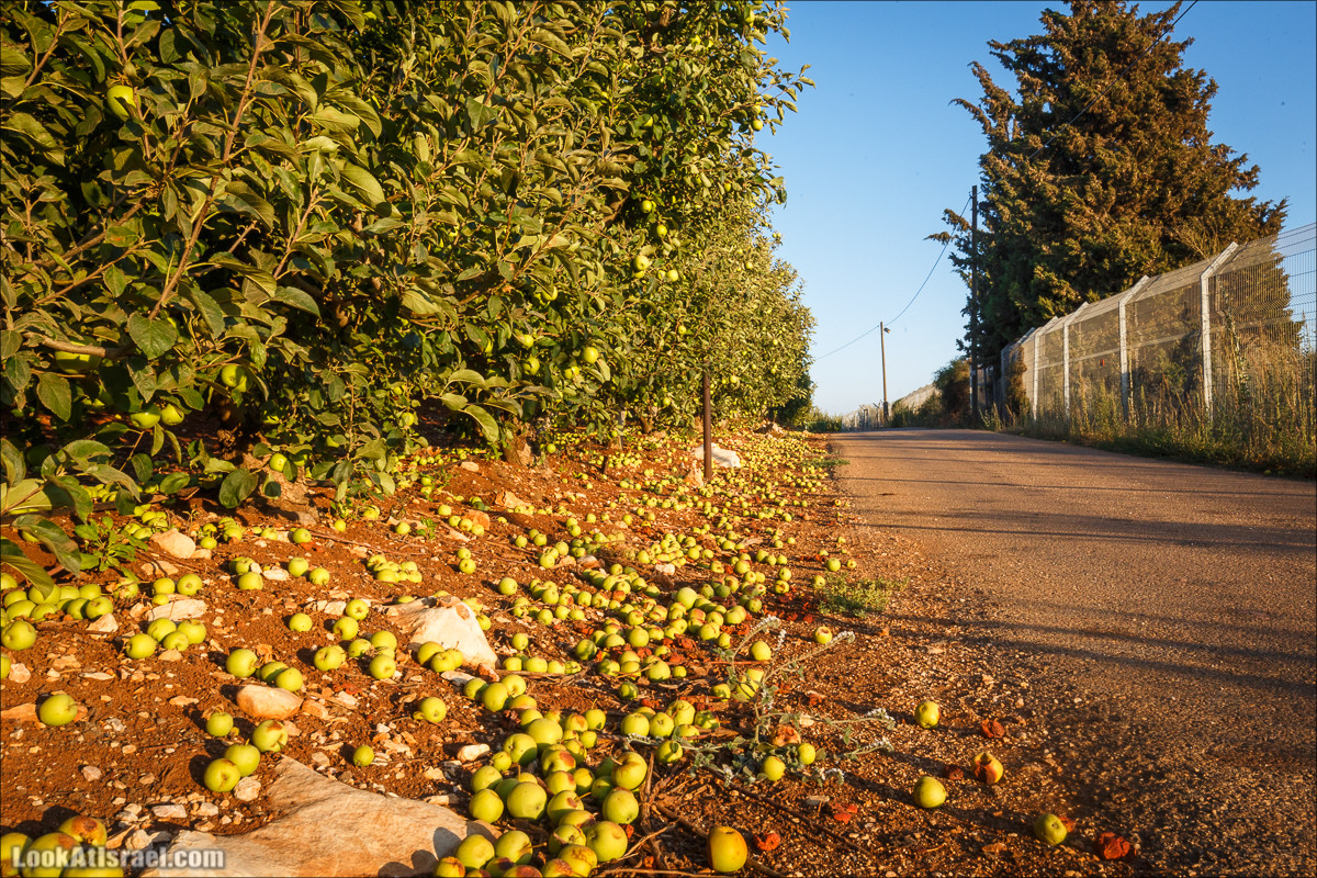 Пейзажная дорога на горах Нафтали | Naftali mts scenic road | LookAtIsrael.com - Фото путешествия по Израилю