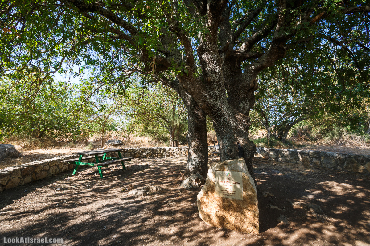 Пейзажная дорога на горах Нафтали | Naftali mts scenic road | LookAtIsrael.com - Фото путешествия по Израилю