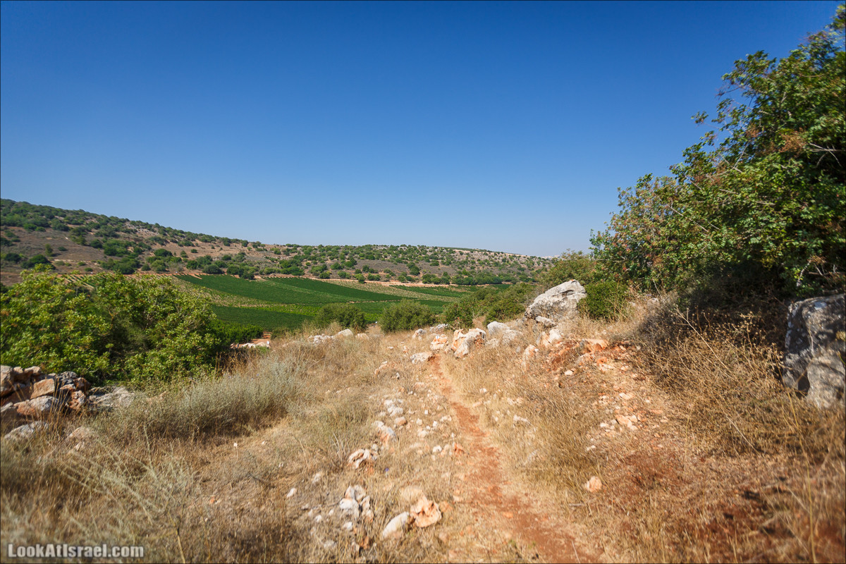 Пейзажная дорога на горах Нафтали | Naftali mts scenic road | LookAtIsrael.com - Фото путешествия по Израилю