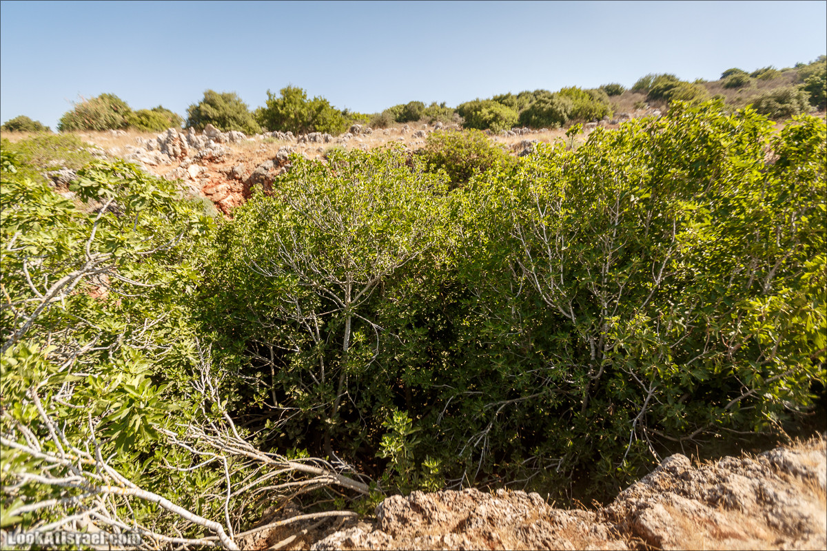 Пейзажная дорога на горах Нафтали | Naftali mts scenic road | LookAtIsrael.com - Фото путешествия по Израилю