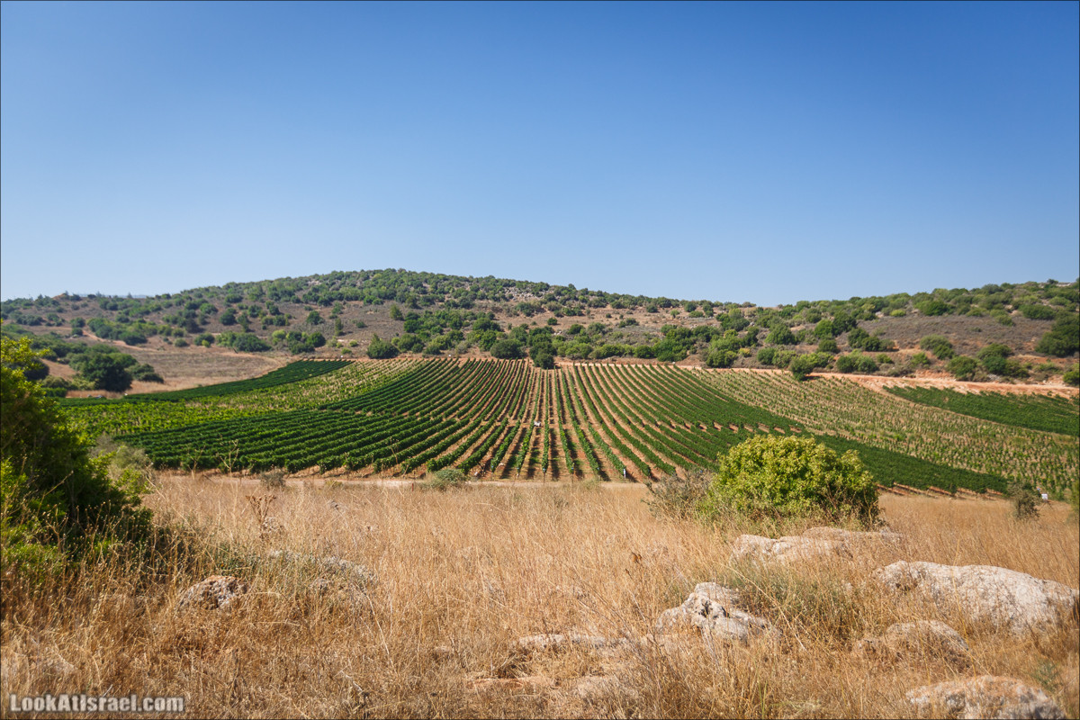 Пейзажная дорога на горах Нафтали | Naftali mts scenic road | LookAtIsrael.com - Фото путешествия по Израилю