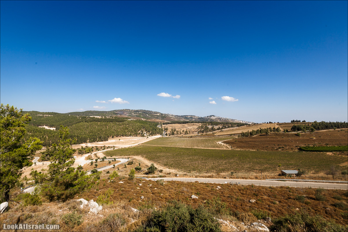 Пейзажная дорога на горах Нафтали | Naftali mts scenic road | LookAtIsrael.com - Фото путешествия по Израилю