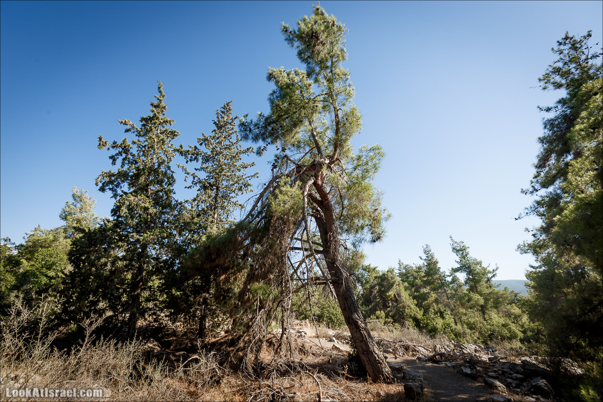 Пейзажная дорога на горах Нафтали | Naftali mts scenic road | LookAtIsrael.com - Фото путешествия по Израилю