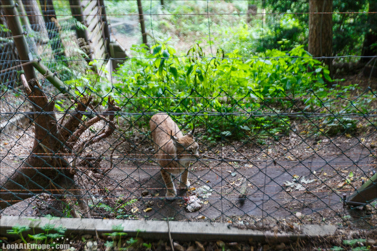 Город курорт на Эльбе Бад Шандау | LookAtEurope.com - Фотогалоп по Европе. Чехия, Германия, Голландия