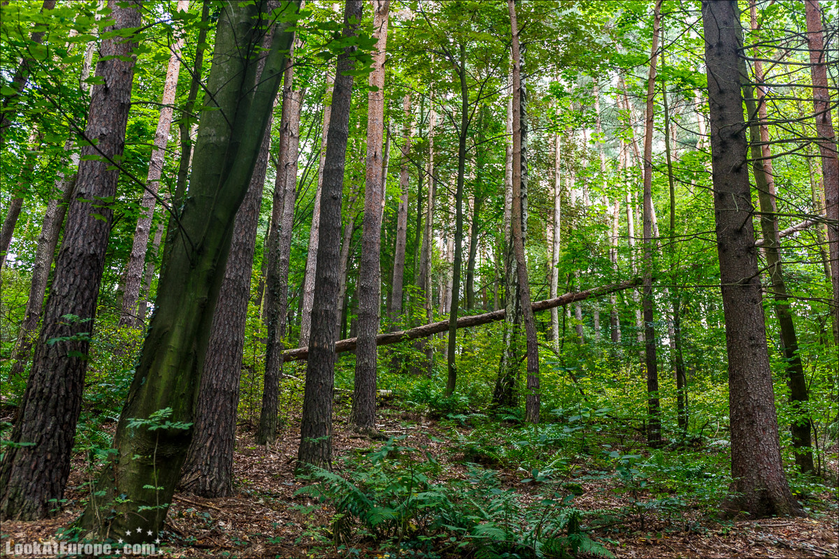 Город курорт на Эльбе Бад Шандау | LookAtEurope.com - Фотогалоп по Европе. Чехия, Германия, Голландия