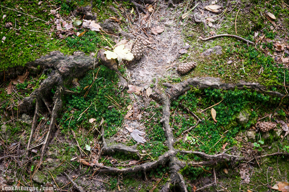 Город курорт на Эльбе Бад Шандау | LookAtEurope.com - Фотогалоп по Европе. Чехия, Германия, Голландия
