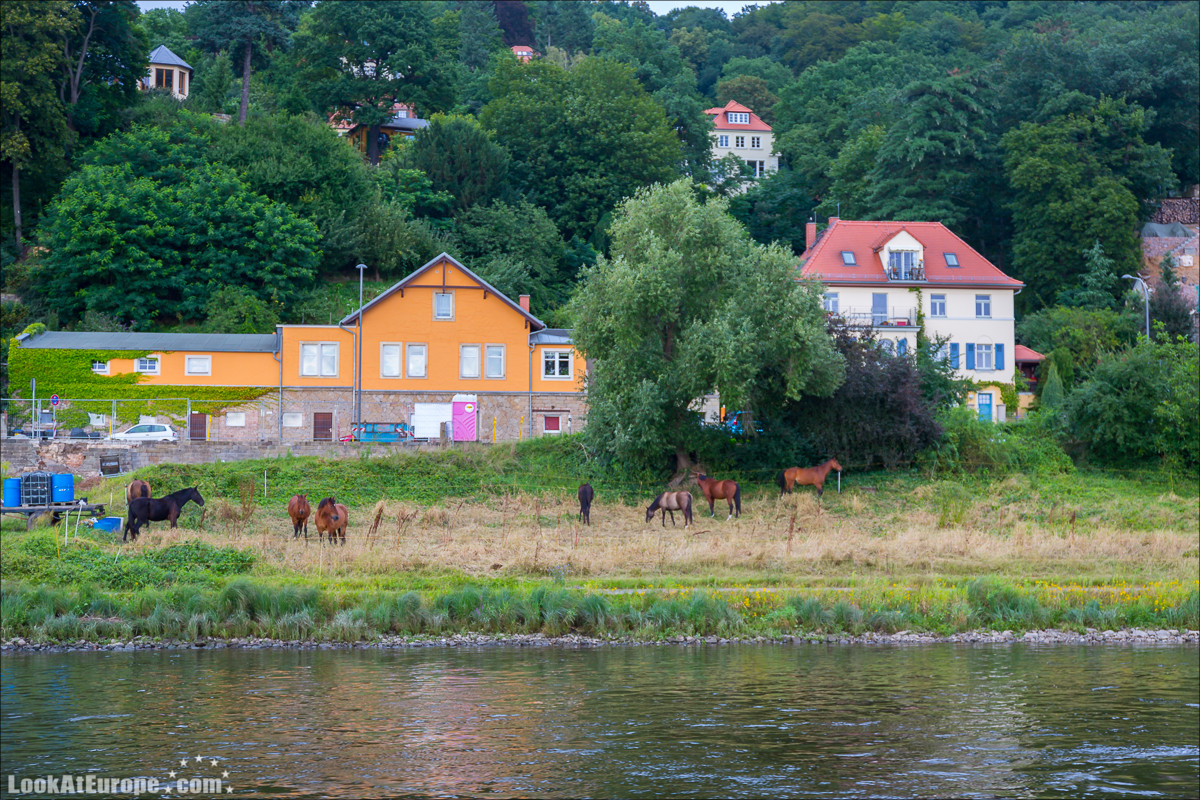 Прогулка на пароходе по Эльбе из Дрездена | LookAtEurope.com - Фотогалоп по Европе. Чехия, Германия, Голландия. Чески Крумлов