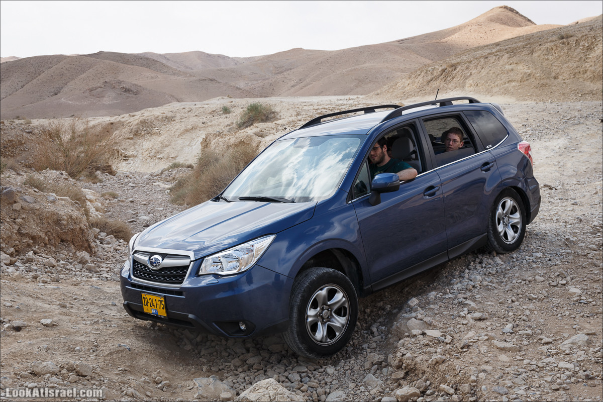 На джипах по Иудейской пустыне, над Мёртвым Море и Масадой | LookAtIsrael.com - Фото путешествия по Израилю