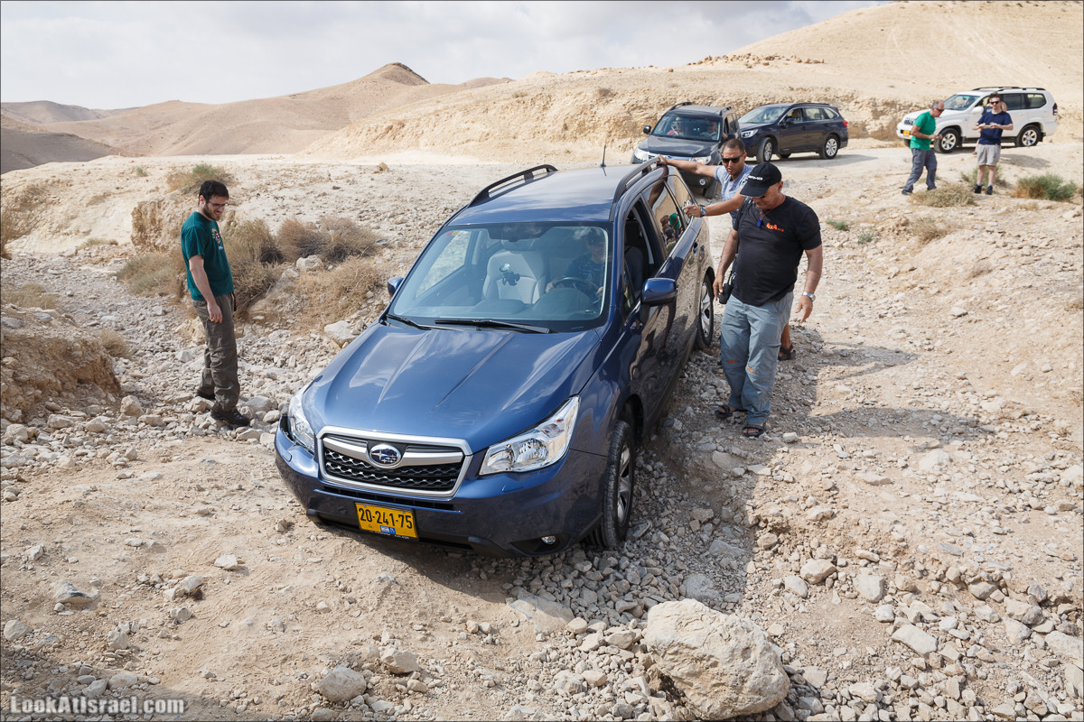 На джипах по Иудейской пустыне, над Мёртвым Море и Масадой | LookAtIsrael.com - Фото путешествия по Израилю