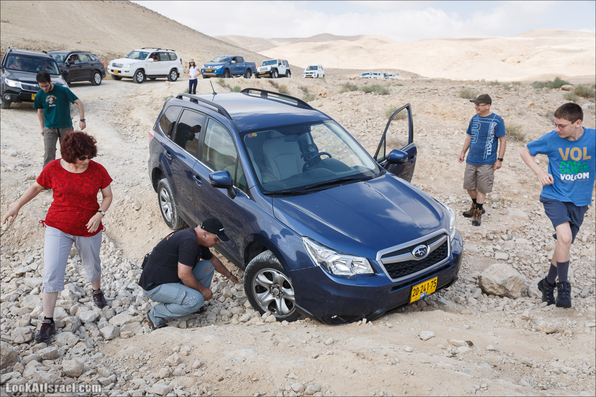 На джипах по Иудейской пустыне, над Мёртвым Море и Масадой | LookAtIsrael.com - Фото путешествия по Израилю