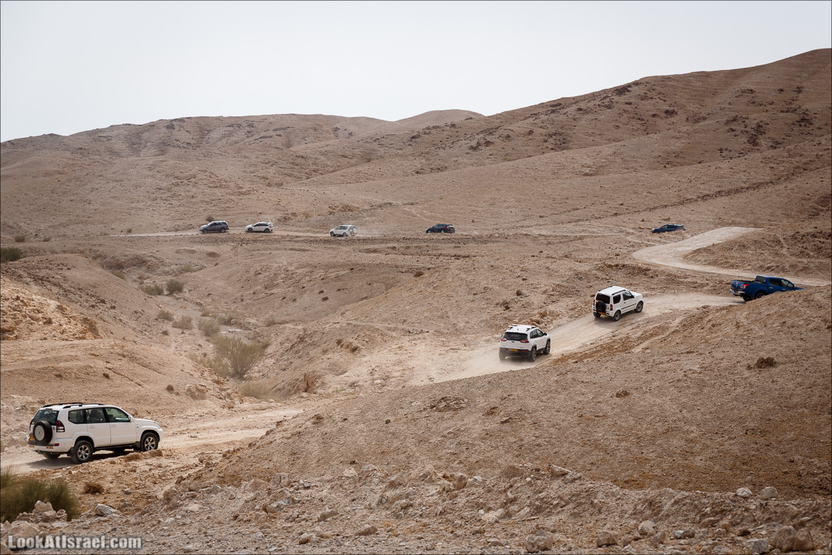 На джипах по Иудейской пустыне, над Мёртвым Море и Масадой | LookAtIsrael.com - Фото путешествия по Израилю