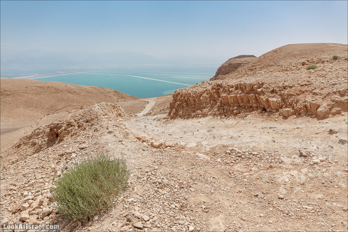 На джипах по Иудейской пустыне, над Мёртвым Море и Масадой | LookAtIsrael.com - Фото путешествия по Израилю