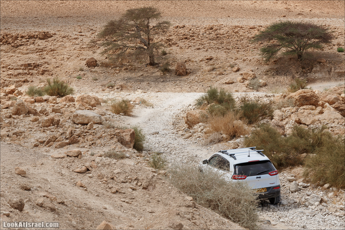 На джипах по Иудейской пустыне, над Мёртвым Море и Масадой | LookAtIsrael.com - Фото путешествия по Израилю