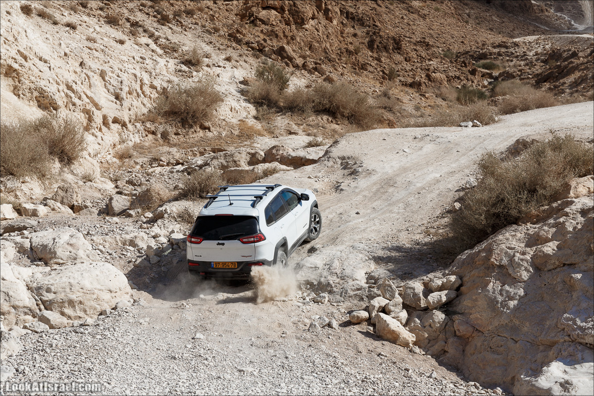 На джипах по Иудейской пустыне, над Мёртвым Море и Масадой | LookAtIsrael.com - Фото путешествия по Израилю
