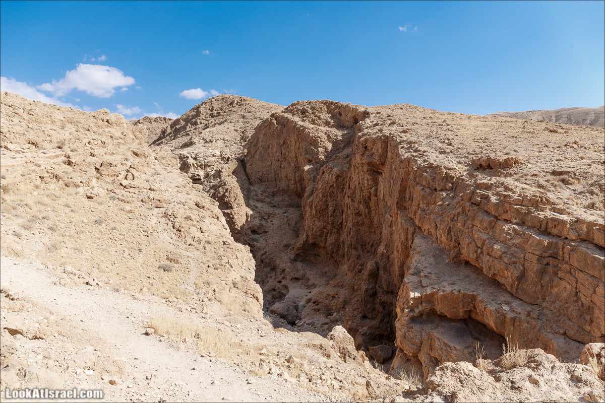 На джипах по Иудейской пустыне, над Мёртвым Море и Масадой | LookAtIsrael.com - Фото путешествия по Израилю