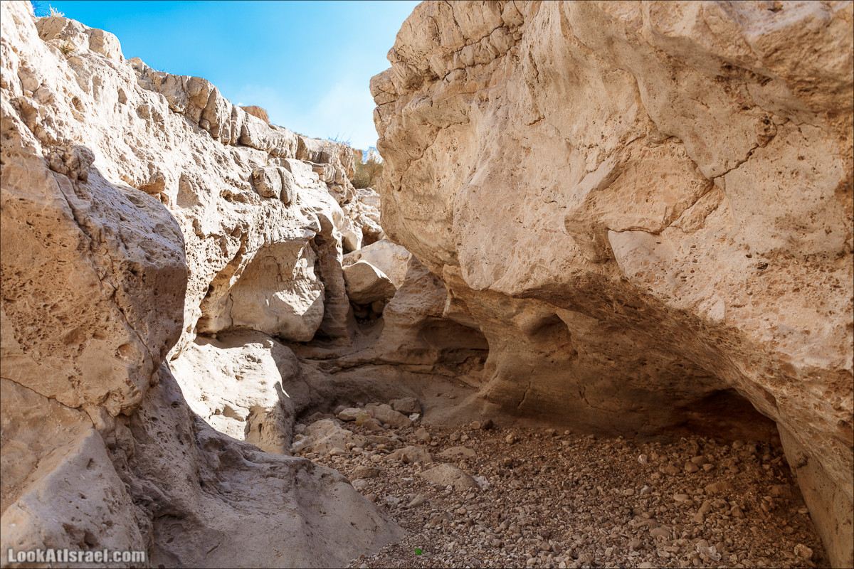На джипах по Иудейской пустыне, над Мёртвым Море и Масадой | LookAtIsrael.com - Фото путешествия по Израилю
