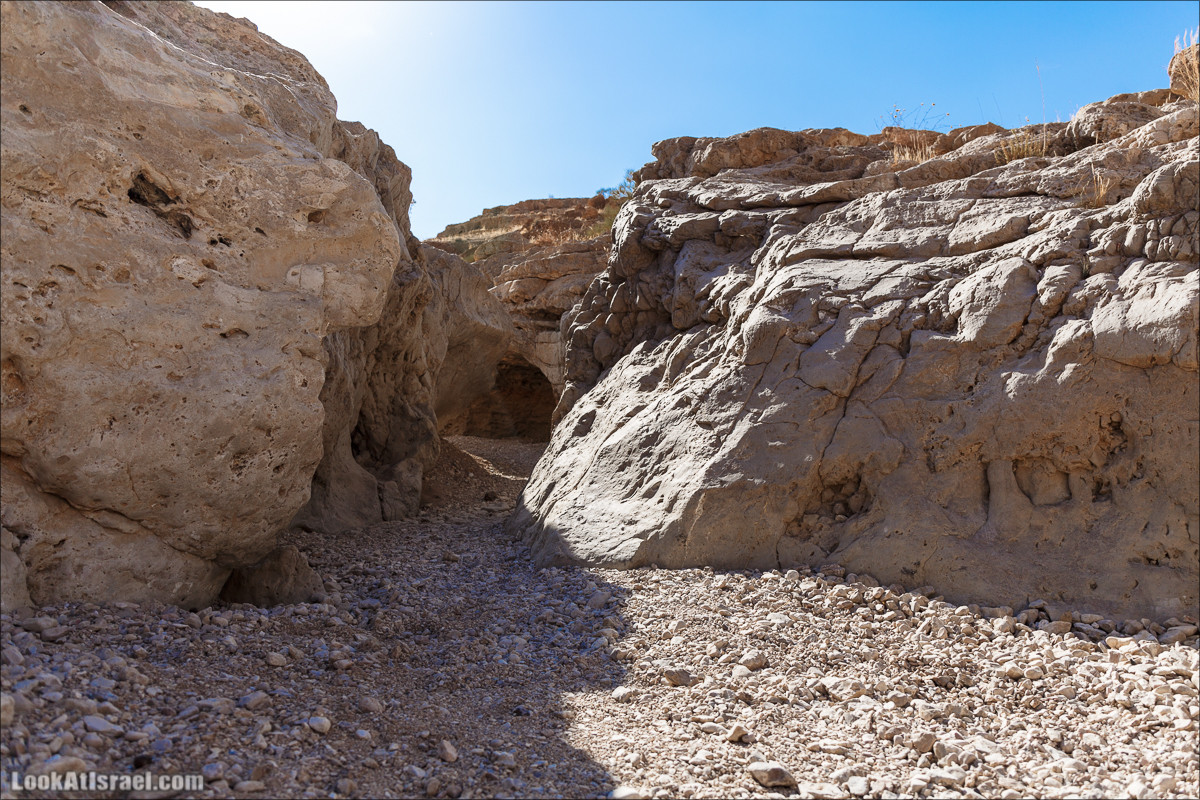 На джипах по Иудейской пустыне, над Мёртвым Море и Масадой | LookAtIsrael.com - Фото путешествия по Израилю