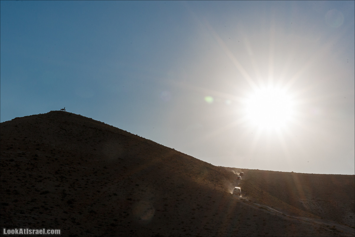 На джипах по Иудейской пустыне, над Мёртвым Море и Масадой | LookAtIsrael.com - Фото путешествия по Израилю