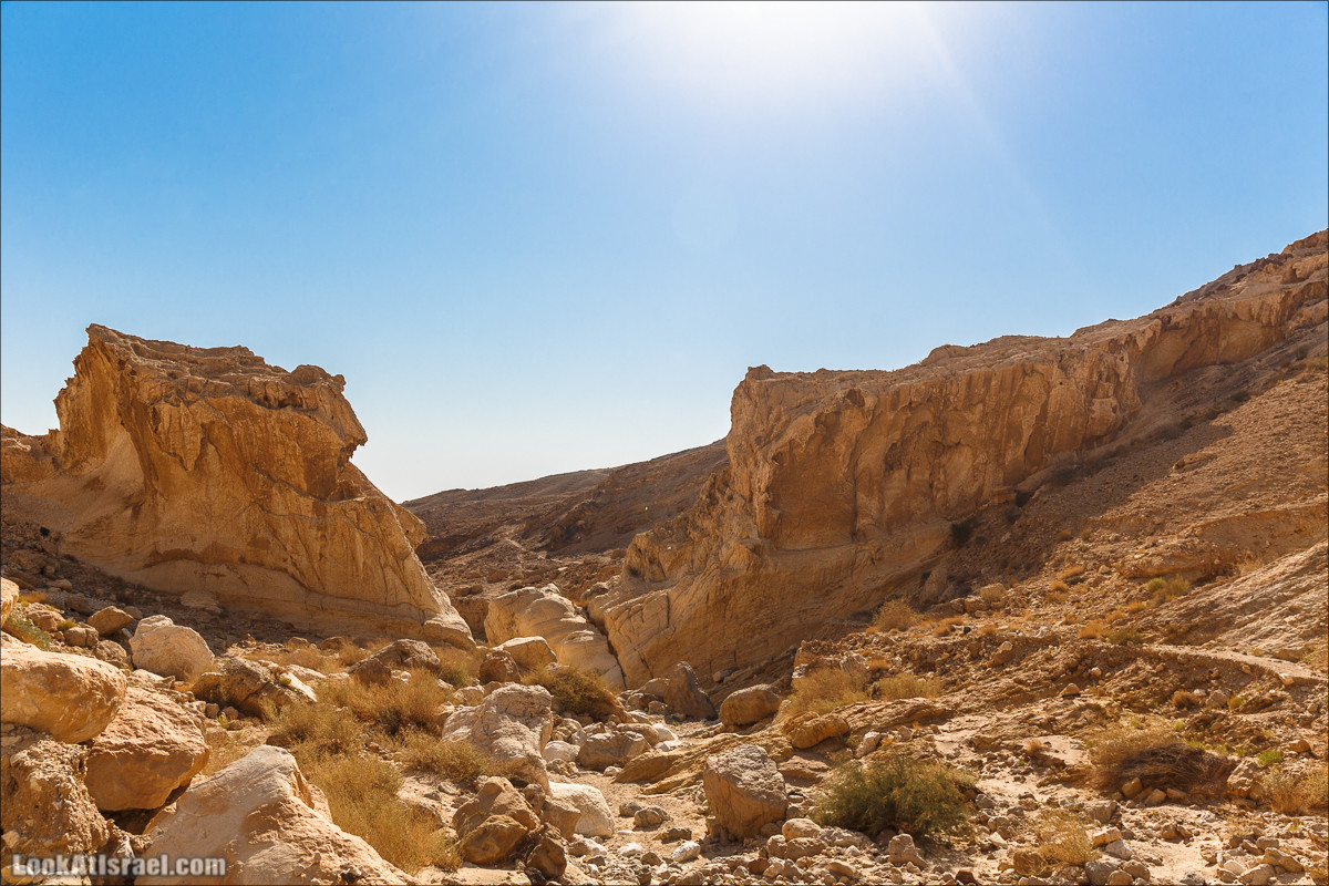 Внедорожное путешествие по пустыне | LookAtIsrael.com - Фото путешествия по Израилю