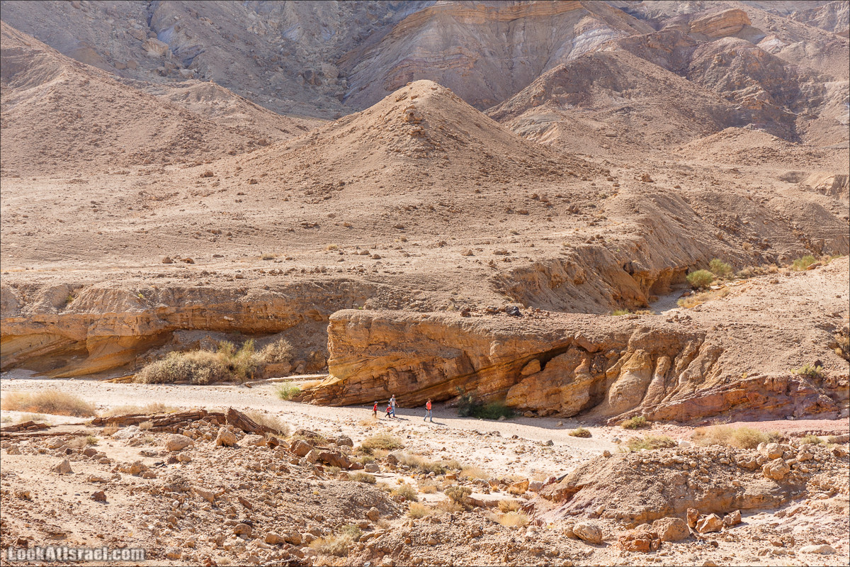 Внедорожное путешествие по пустыне | LookAtIsrael.com - Фото путешествия по Израилю