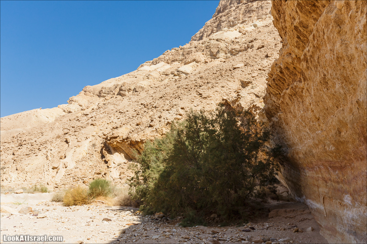 Внедорожное путешествие по пустыне | LookAtIsrael.com - Фото путешествия по Израилю
