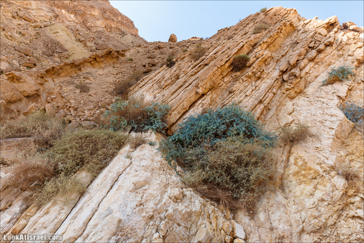 Внедорожное путешествие по пустыне | LookAtIsrael.com - Фото путешествия по Израилю