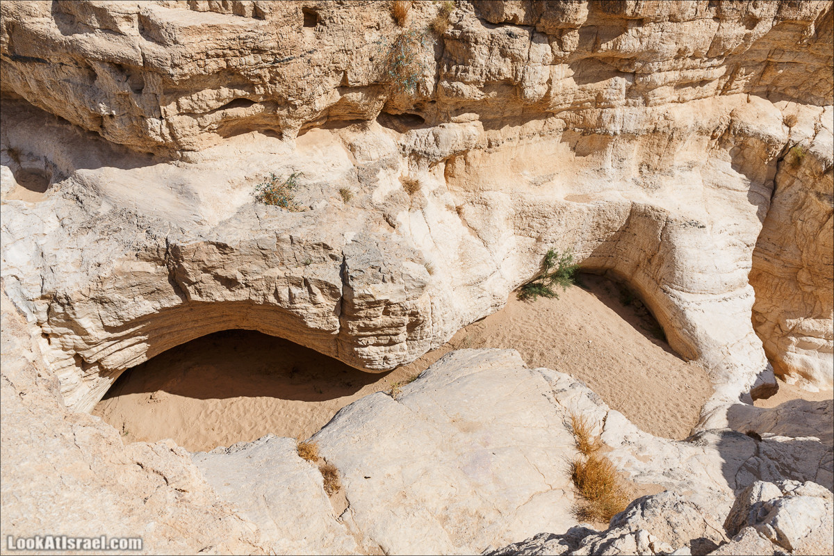Внедорожное путешествие по пустыне | LookAtIsrael.com - Фото путешествия по Израилю