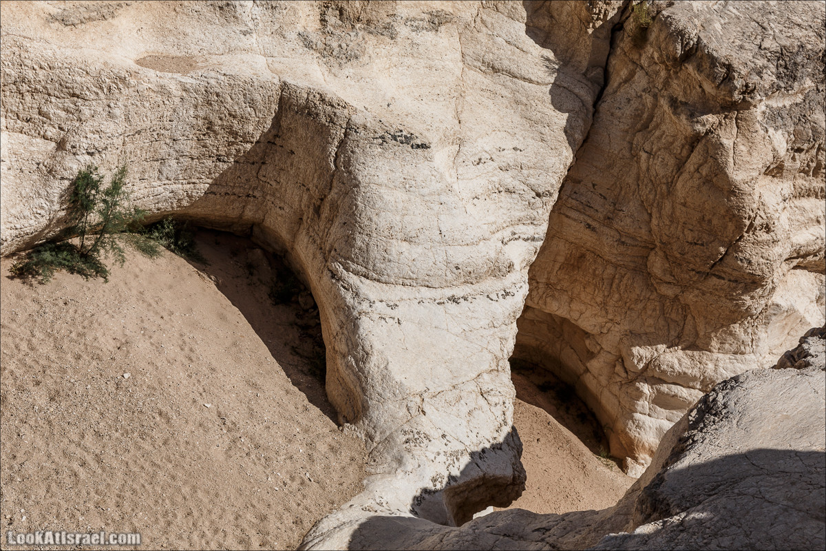 Внедорожное путешествие по пустыне | LookAtIsrael.com - Фото путешествия по Израилю