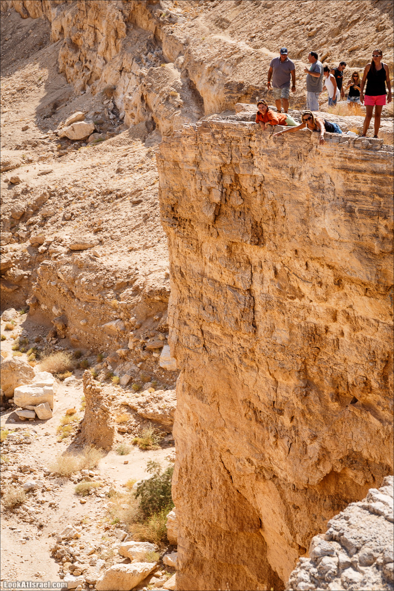Внедорожное путешествие по пустыне | LookAtIsrael.com - Фото путешествия по Израилю