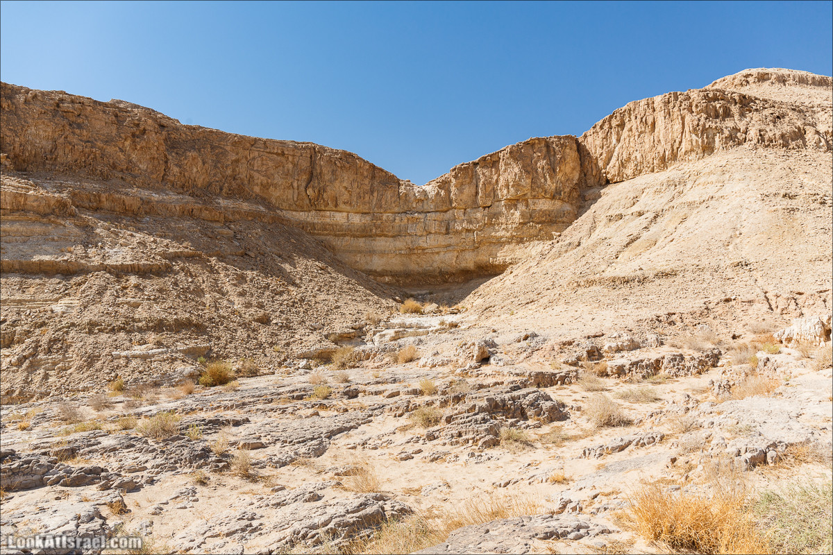 Внедорожное путешествие по пустыне | LookAtIsrael.com - Фото путешествия по Израилю