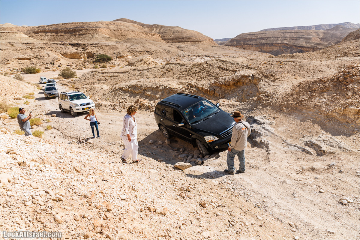 Внедорожное путешествие по пустыне | LookAtIsrael.com - Фото путешествия по Израилю