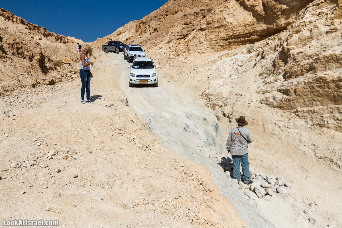 Внедорожное путешествие по пустыне | LookAtIsrael.com - Фото путешествия по Израилю